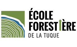 Logo CFM, Carrefour formation Mauricie
